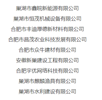 巢湖市第三批高新技術培育企業(yè)名單